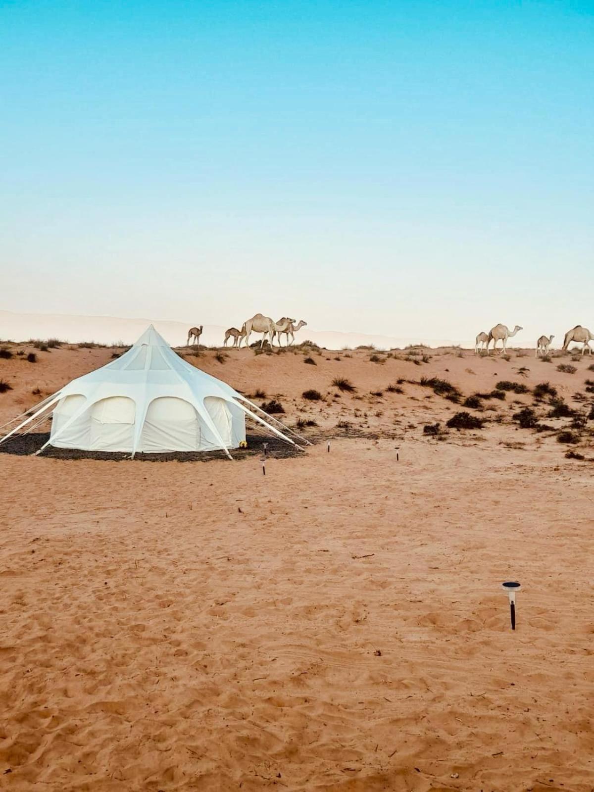 Infinity Camp Hotel Badīyah Kültér fotó